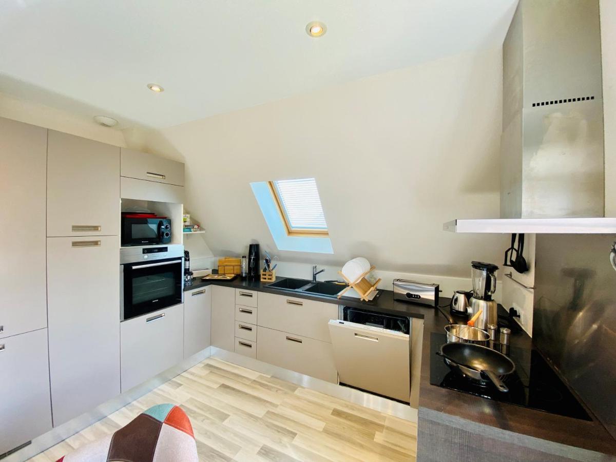 L'Envolee Alsacienne - Magnifique Appartement En Duplex Ostheim Bagian luar foto