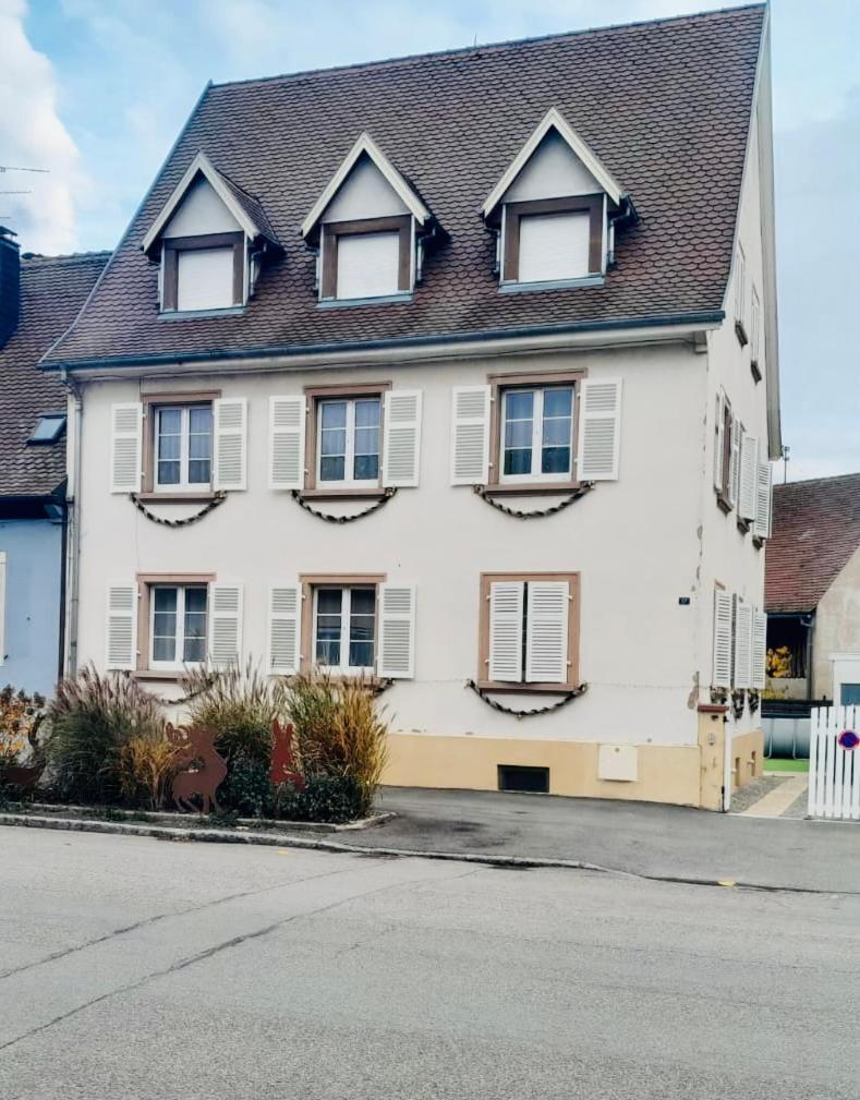L'Envolee Alsacienne - Magnifique Appartement En Duplex Ostheim Bagian luar foto